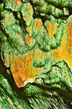 A 14C